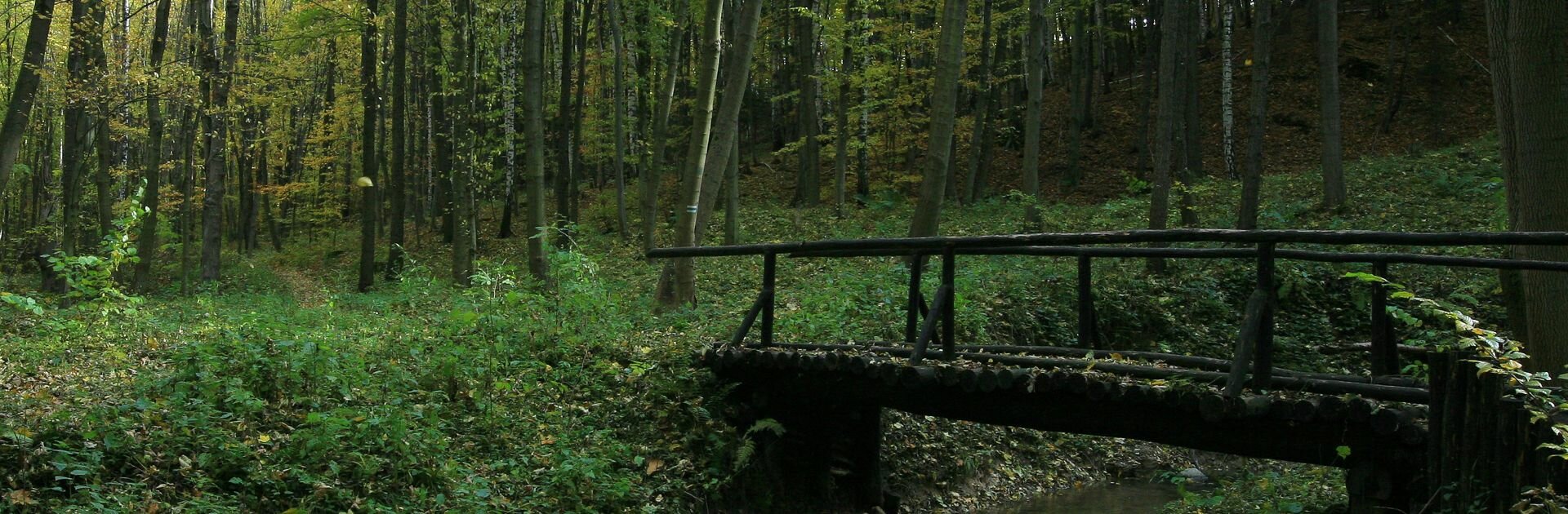 Slider 16